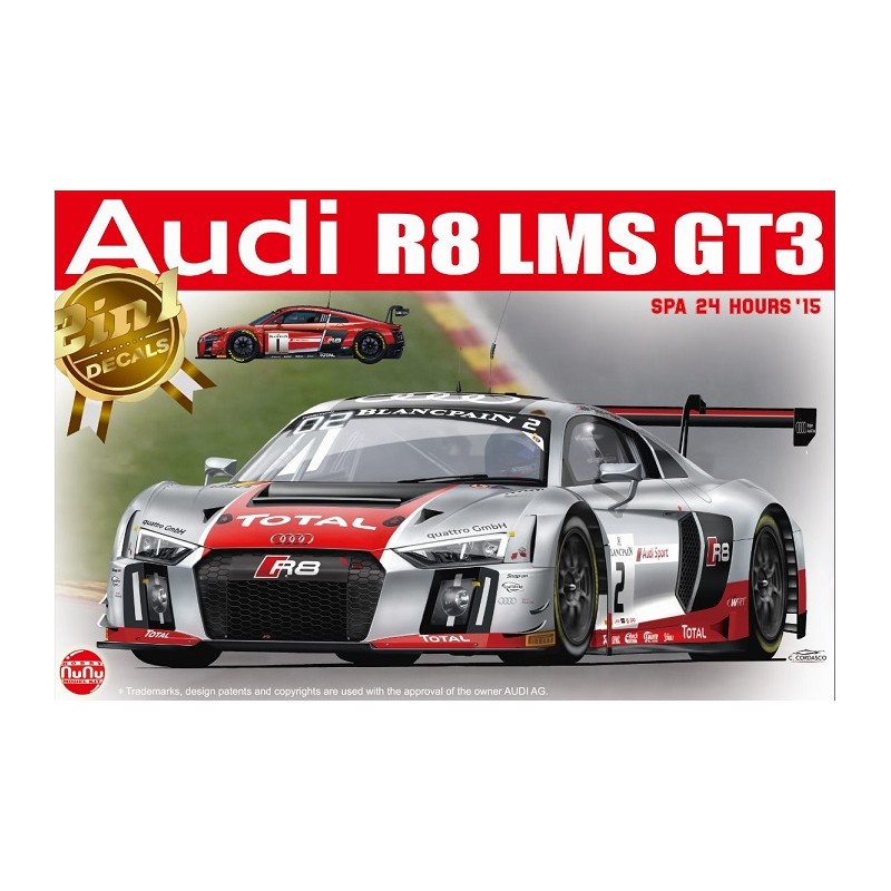Audi R8 GT3 LMS Team