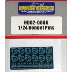 Bonnet Pins