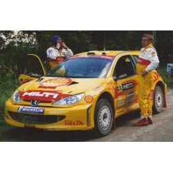 Peugeot 206 WRC Neste rally...