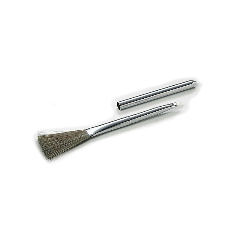 Cleaning Brush